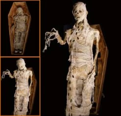 Coffin Lunger Mummy
