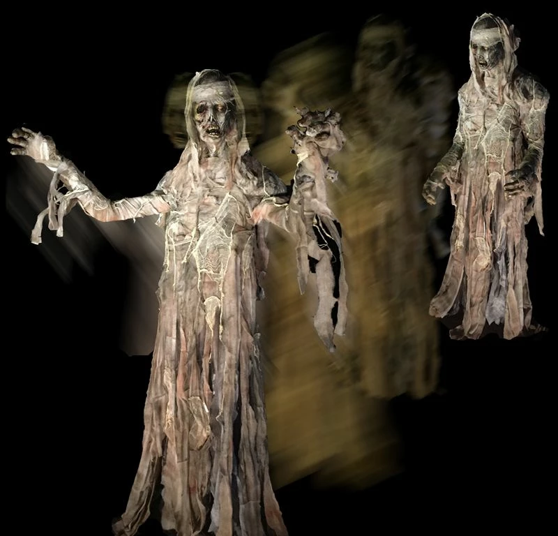 Mummy Lunger 3 Mummy Lunger