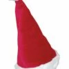 Santa Party Hat