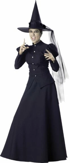 Women's Witch Costume - Adult
