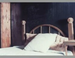 Living Wall Material