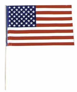Flag Plastic USA - Pack Of 12