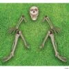 Ground Breaking Skeleton 1 Ground Breaking Skeleton -SpookyCrafts Shop ss80012
